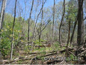 Property image 3 at 9999 Bee Tree Road, Swannanoa, NC 28778