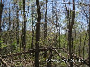 Property image 5 at 9999 Bee Tree Road, Swannanoa, NC 28778