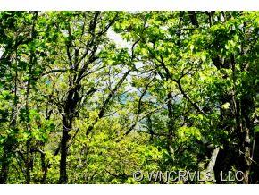 Property image 2 at 9999 Chapel, Black Mountain, NC 28711