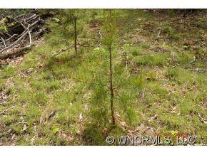 Property image 5 at 137 Davey Crockett, Fairview, NC 28730