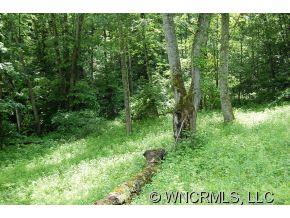 Property image 3 at , Waynesville, NC 28786