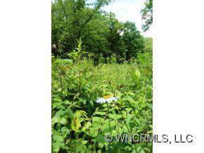 Property image 5 at , Waynesville, NC 28786