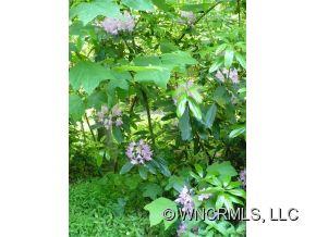 Property image 5 at 113 Ripple Branch, Barnardsville, NC 28709