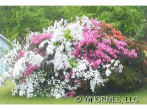 Property image 2 at 130 Andrews Rd, Zirconia, NC 28790