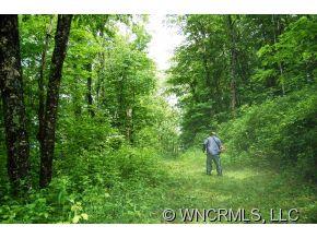 Lot 41 Wolverine Court