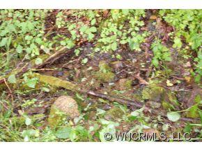 Property image 3 at Lot 41 Wolverine Court, Waynesville, NC 28786