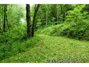 Property image 4 at Lot 41 Wolverine Court, Waynesville, NC 28786