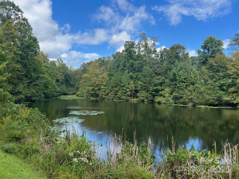 Property image 3 of Tbd Blue Horse Lane in Stoneybrook, Columbus, NC 28722