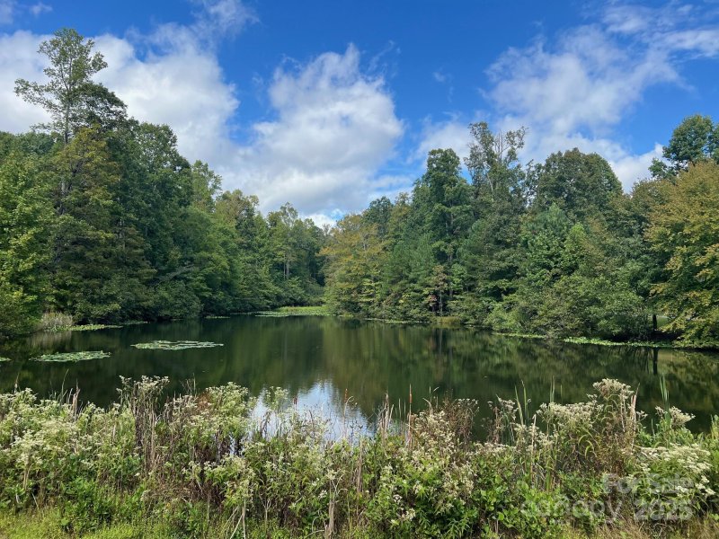 Property image 4 of Tbd Blue Horse Lane in Stoneybrook, Columbus, NC 28722