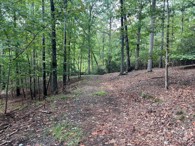 Property image 5 of Tbd Blue Horse Lane in Stoneybrook, Columbus, NC 28722