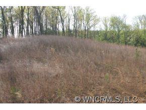 Property image 4 at Lot 51 Clear Creek Trail, Lake Lure, NC 28746