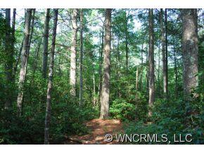 Property image 4 at 01 Black Beaver Road, Brevard, NC 28712