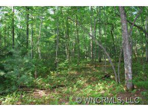 Property image 4 at 00 Steel Creek Road, Brevard, NC 28712