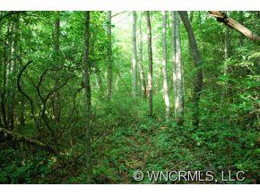 Property image 5 at 00 Steel Creek Road, Brevard, NC 28712