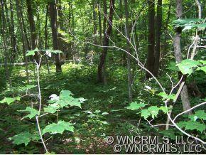 Property image 4 at C 15 Rockmont Road, Waynesville, NC 28786