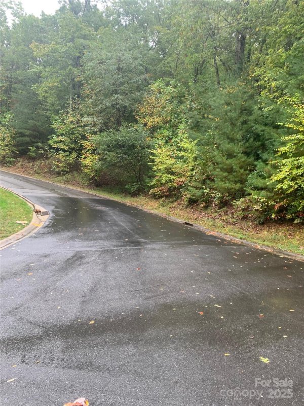 Property image 3 of 208 Settings Boulevard in The Settings Of Black Mountain, Black Mountain, NC 28711