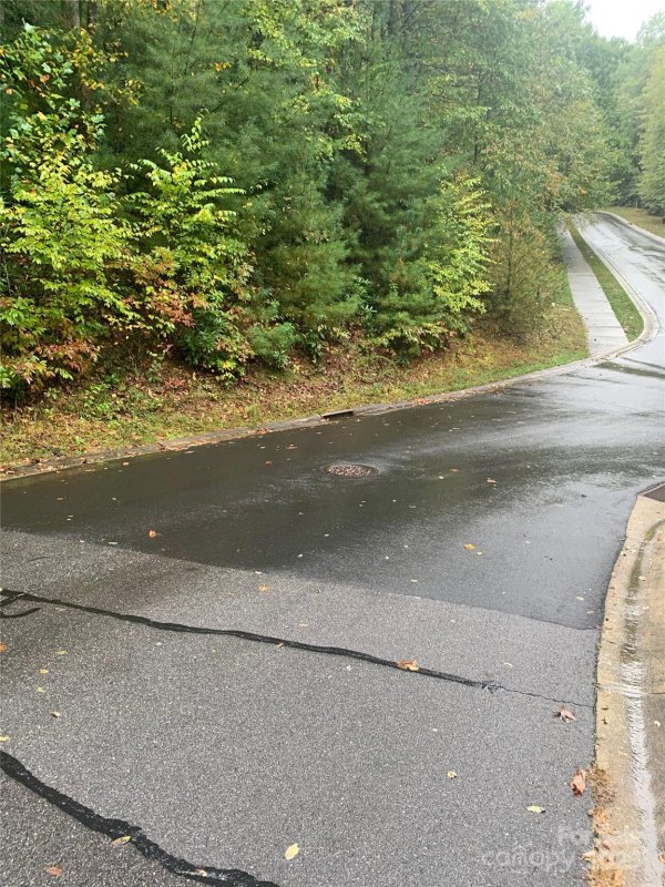 Property image 4 of 208 Settings Boulevard in The Settings Of Black Mountain, Black Mountain, NC 28711