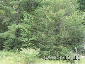 Property image 2 at Lot Ii Ivy Cove Road, Fairview, NC 28730