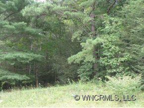 Property image 3 at Lot Ii Ivy Cove Road, Fairview, NC 28730
