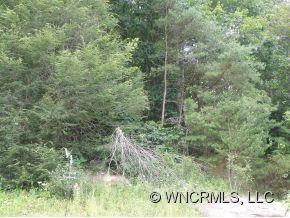 Property image 4 at Lot Ii Ivy Cove Road, Fairview, NC 28730