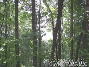 Property image 2 at 1095 Upward Way, Waynesville, NC 28785