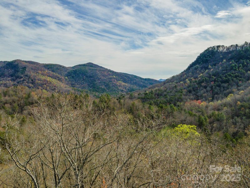 Property image 2 of 99999 Trillium Lane in Three Creeks, Lake Lure, NC 28746