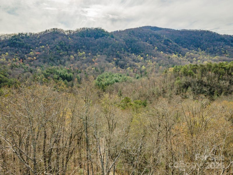 Property image 3 of 99999 Trillium Lane in Three Creeks, Lake Lure, NC 28746