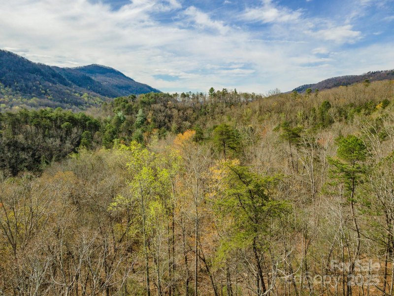 Property image 4 of 99999 Trillium Lane in Three Creeks, Lake Lure, NC 28746