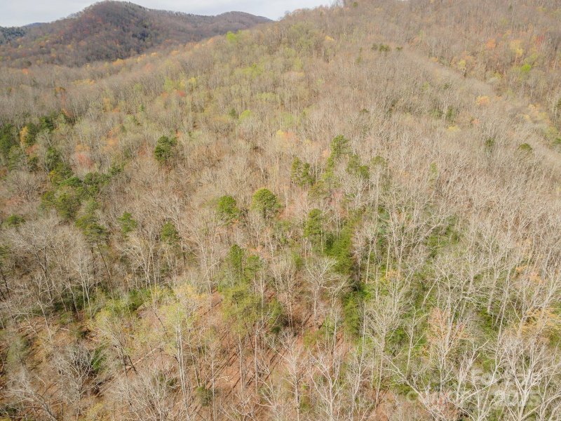 Property image 5 of 99999 Trillium Lane in Three Creeks, Lake Lure, NC 28746