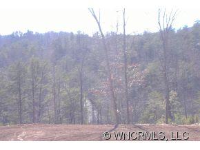 Property image 3 at 8 Easy Street, Lake Lure, NC 28746