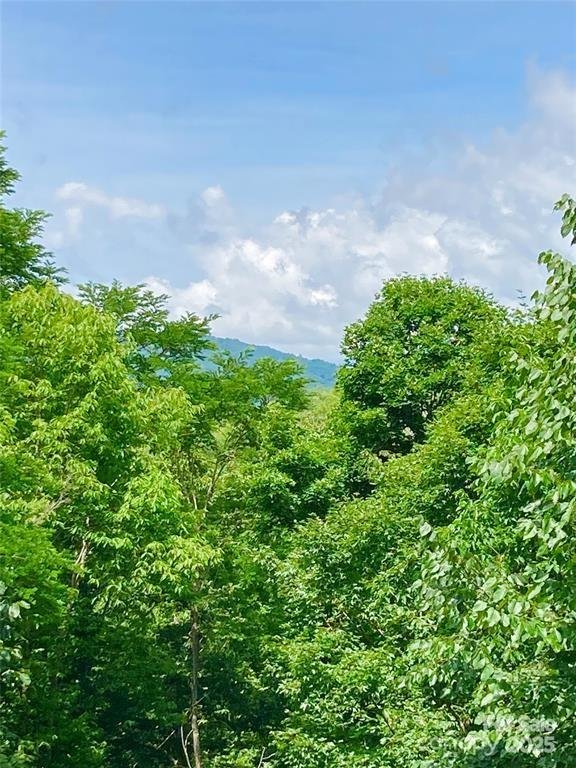 Property image 4 of 361 Boundary Trail in Cranberry Falls, Maggie Valley, NC 28751