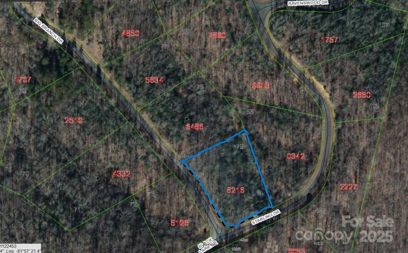 Property image 2 at Lot 79 Big Branch Drive, Marion, NC 28752