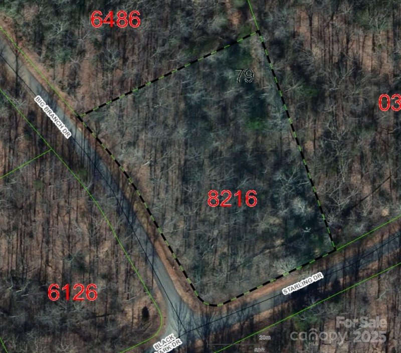 Property image 3 at Lot 79 Big Branch Drive, Marion, NC 28752