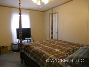 Property image 3 at 53 Farmstead Road, Leicester, NC 28748