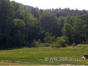 Property image 2 at 882 Beetree, Swannanoa, NC 28778