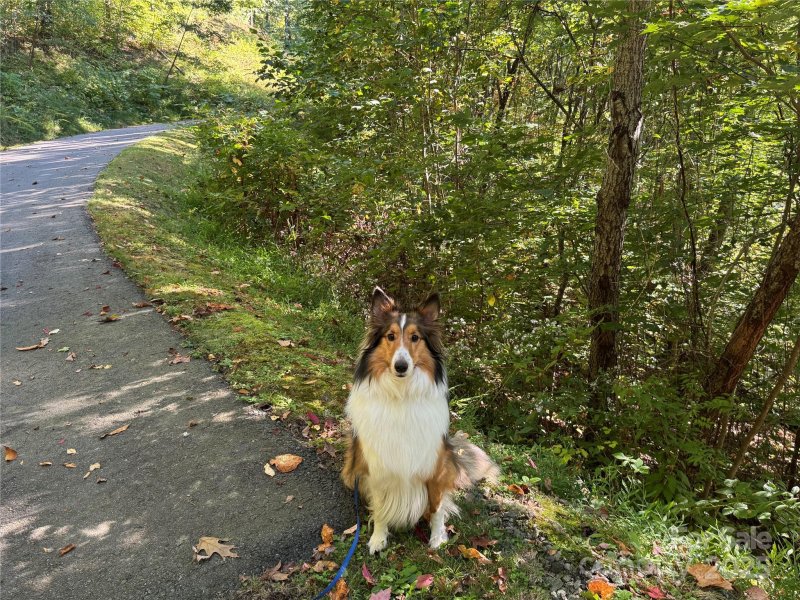 Property image 2 of 400 High Hickory Trail in High Hickory, Swannanoa, NC 28778