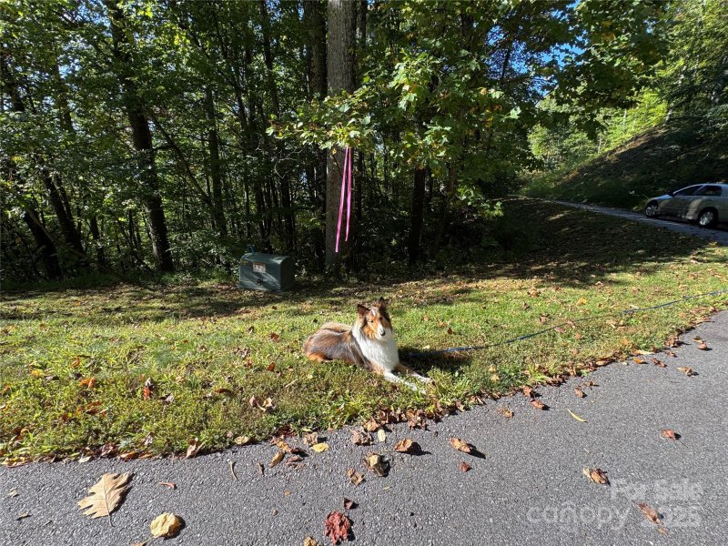 Property image 4 of 400 High Hickory Trail in High Hickory, Swannanoa, NC 28778