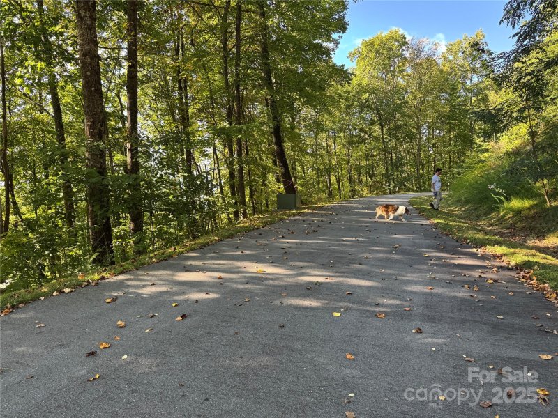 Property image 5 of 400 High Hickory Trail in High Hickory, Swannanoa, NC 28778