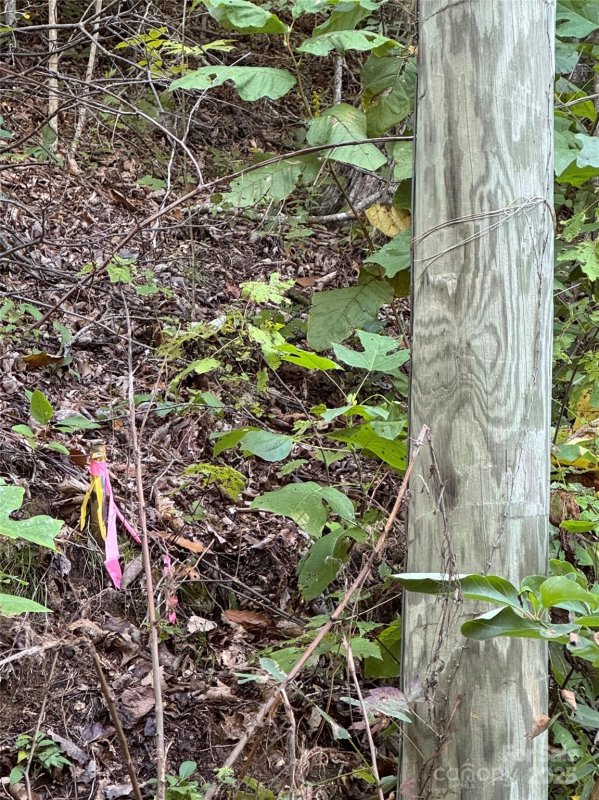 Property image 3 of 999 Red Oak Forest Road in Fairview Forest, Fairview, NC 28730