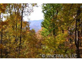 Property image 2 at 215 Sleepy Hollow Lane, Canton, NC 28716