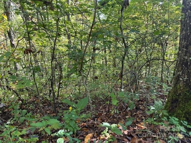 H16 H17 Shady Grove Road