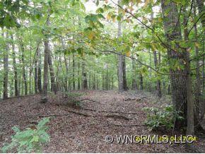 Property image 2 at 00 Hungryneck Hollow, Saluda, NC 28773