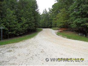 Property image 3 at 00 Hungryneck Hollow, Saluda, NC 28773
