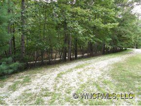 Property image 4 at 00 Hungryneck Hollow, Saluda, NC 28773