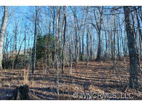 Property image 4 at 99 Steel Creek Road, Brevard, NC 28712