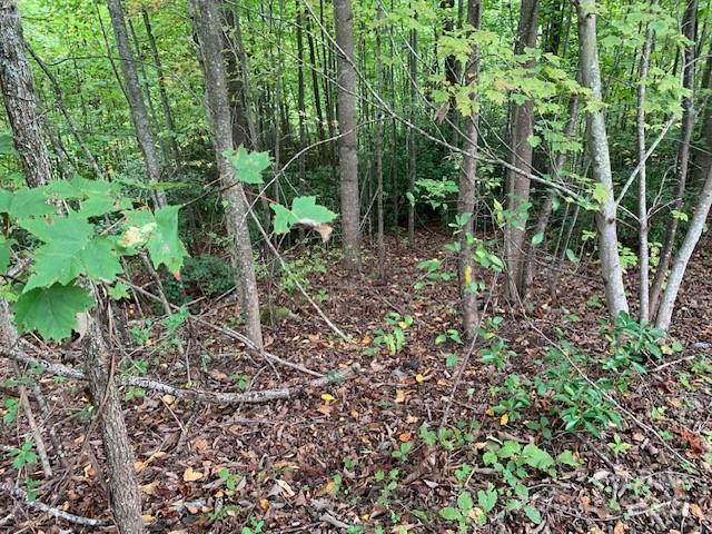 Property image 3 of 105 Crossvine Trail in SOMERSBY PARK, Laurel Park, NC 28739