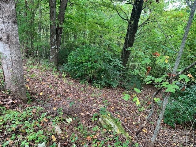 Property image 4 of 105 Crossvine Trail in SOMERSBY PARK, Laurel Park, NC 28739