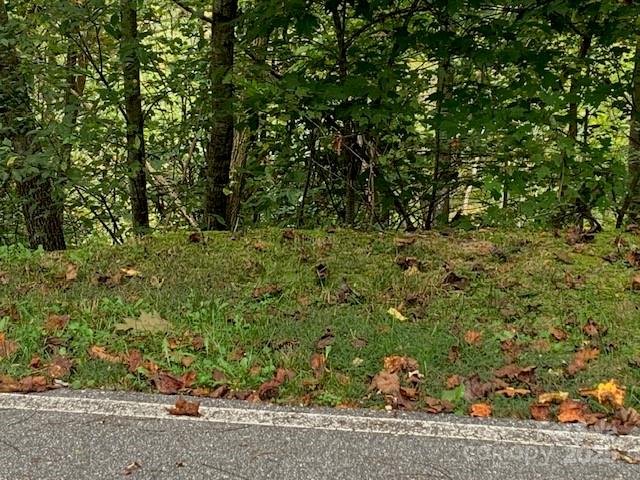 Property image 5 of 105 Crossvine Trail in SOMERSBY PARK, Laurel Park, NC 28739