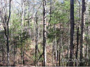 Property image 2 at 197 Kanuga Forest Drive, Hendersonville, NC 28739
