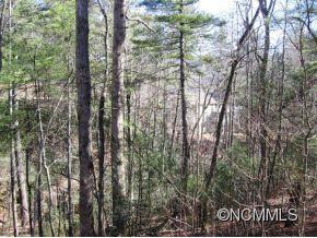 Property image 3 at 197 Kanuga Forest Drive, Hendersonville, NC 28739